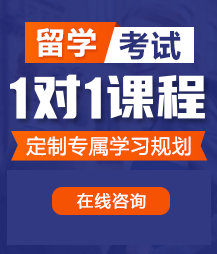 骚货操烂你视频留学考试一对一精品课